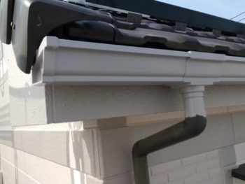 line_1012087600826935